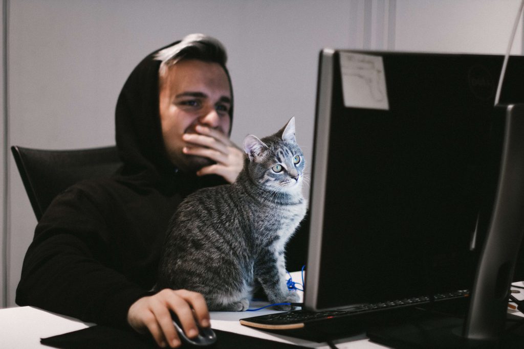 Tips for Candidates - Online One-Way Video Interviews 4 One way video interview being interrupted by a cat
