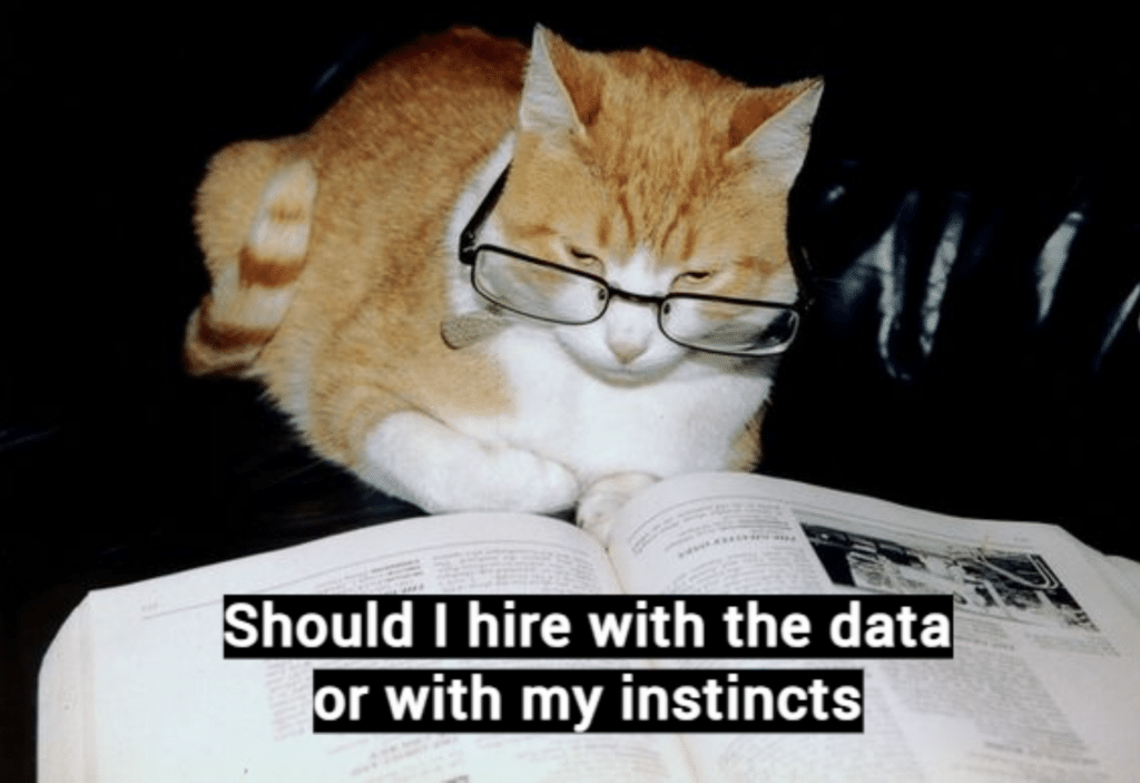 Hiring Challenges in 20 Memes 2024 Edition 4 Meme of a cat wearing glasses
