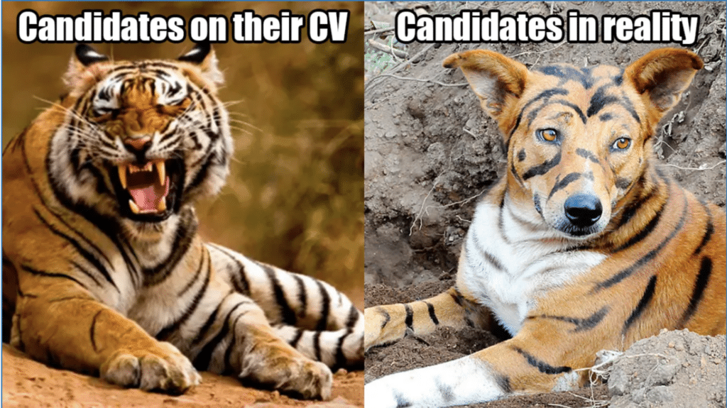 Hiring Challenges in 20 Memes 2024 Edition 8 Meme of a tiger and a pet dog