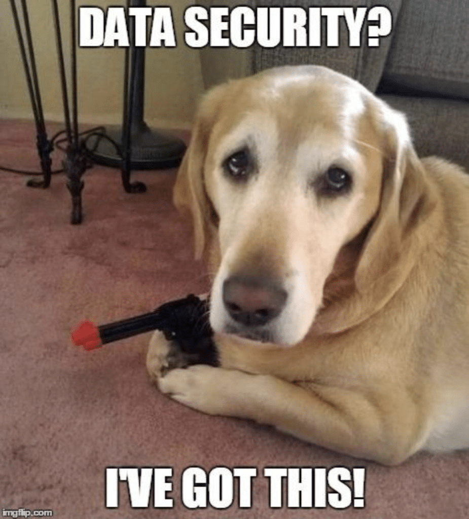 Hiring Challenges in 20 Memes 2024 Edition 19 Meme of pet dog holding a toy