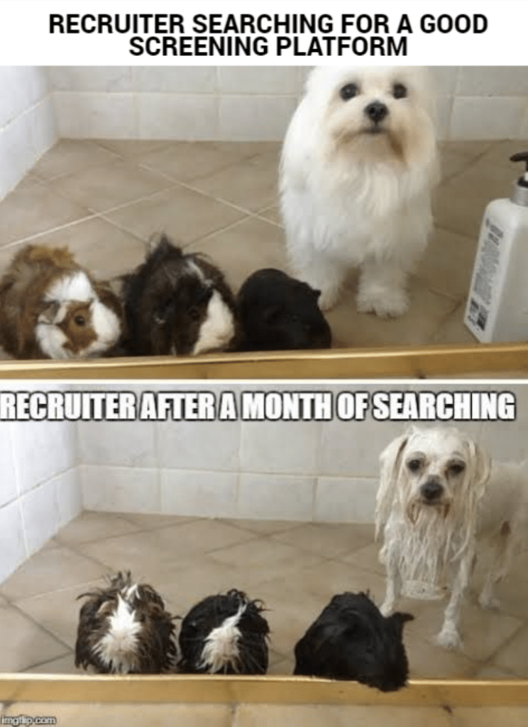 Hiring Challenges in 20 Memes 2024 Edition 21 Pet meme